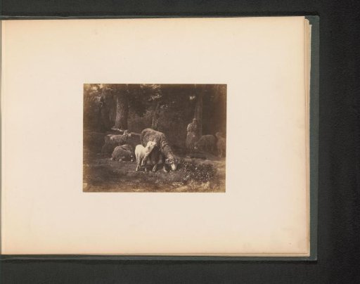 Photographic reproduction of Moutons dans le bois by Ch. Jacques