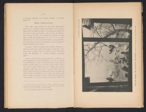 Showcase with farm birds in the Muséum d'Histoire Naturelle in Rouen