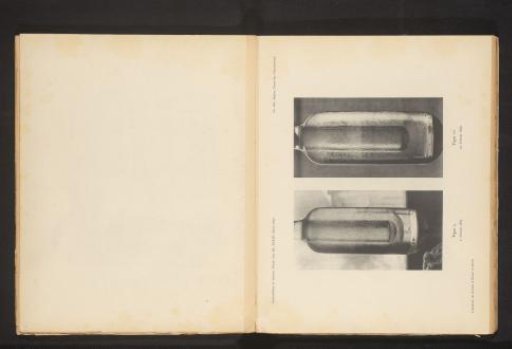 Bottles with ice