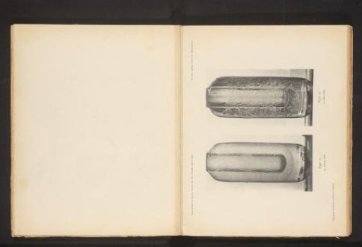 Bottles with ice