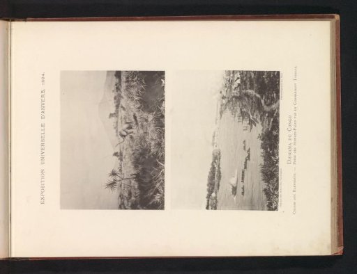 Two photographic reproductions of paintings depicting an elephant hunt in Congo and boats in the Congo basin