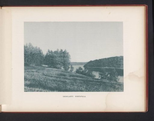 View of a river in a landscape with trees