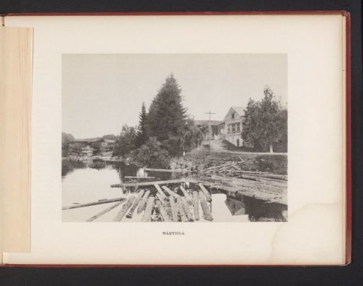View of tree trunks in the water and houses around the water
