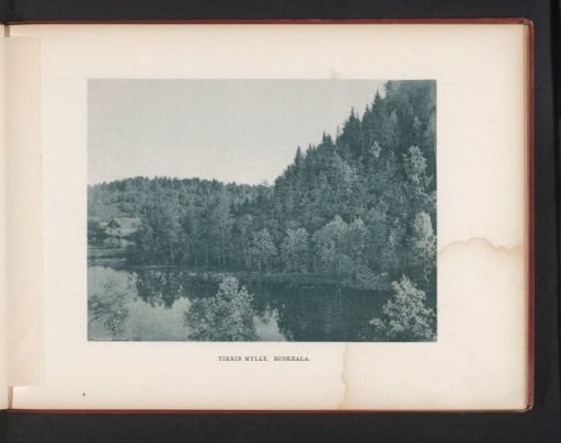 View of a river and the forests on the bank