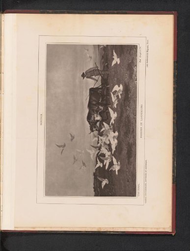 Reproduction of Pigeons et laboureurs by August Friedrich Albrecht Schenck