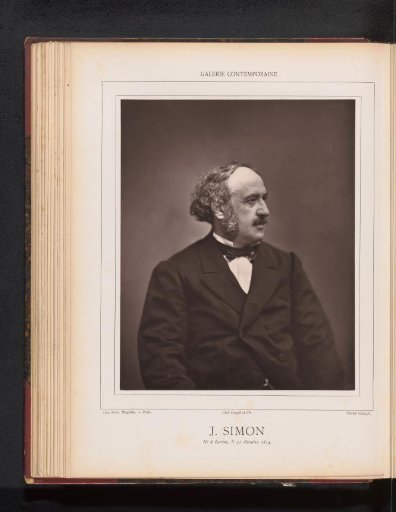 Portrait of Jules Simon