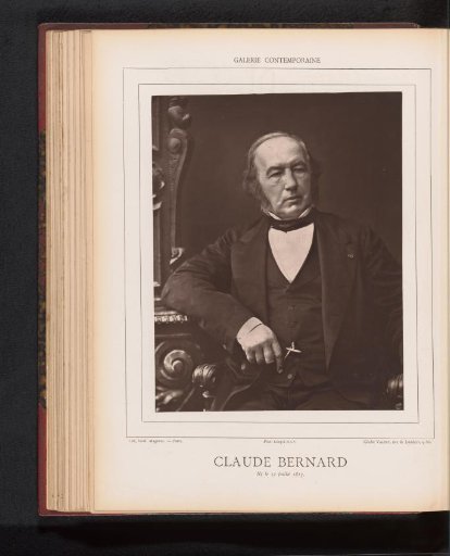 Portrait of Claude Bernard