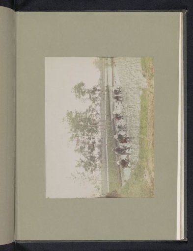 Farmers Planting Rice in a Rice Field