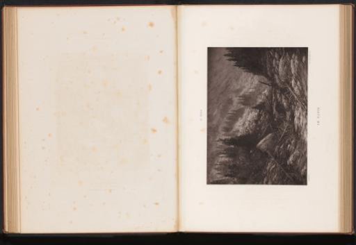 Reproduction of Le Ravin by Gustave Doré