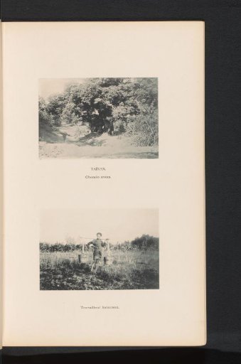 Forest path with a wood carrier and a Taiwanese water carrier