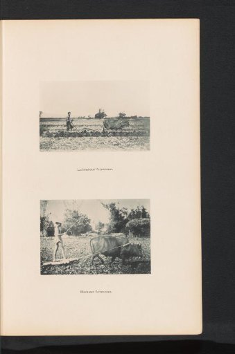 Two Taiwanese Farmers Cultivating the Land