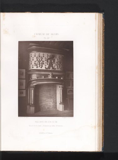 View of a fireplace in the Louis XII wing of the Château de Blois