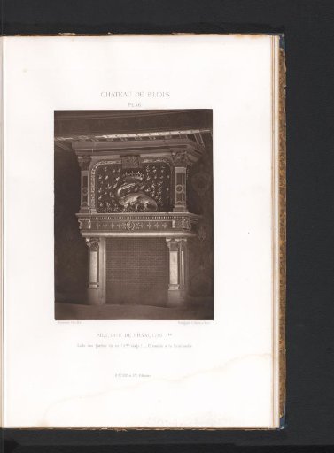 View of a fireplace mantel with a salamander in the Francis I wing of the Château de Blois