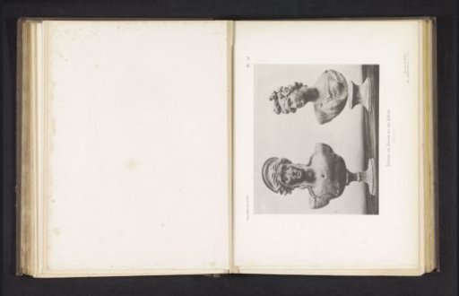 Busts of Diana and Venus