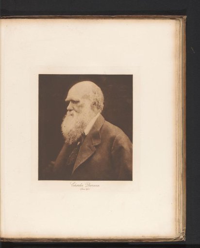 Portrait of Charles Darwin