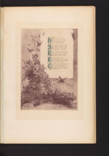 Reproduction of a print of insects and shrubbery, with the poem Mai by François Coppée, by Hector Giacomelli