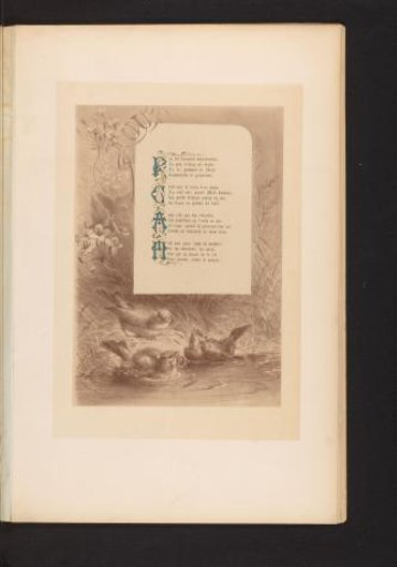 Reproduction of a print of birds by the water, with the poem Août by François Coppée, by Hector Giacomelli