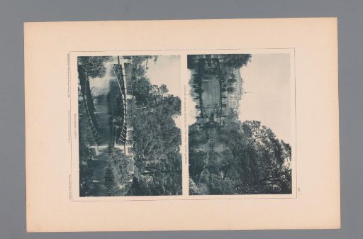 Two Views of the Botanical Garden in Hamburg