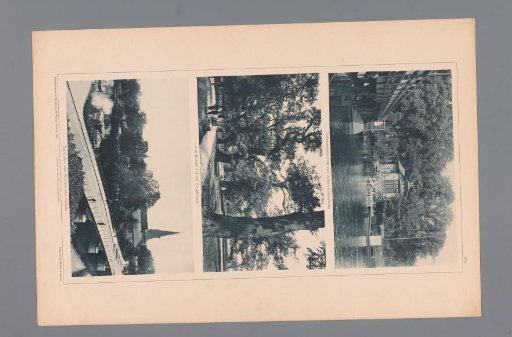Three Views of Hamburg, Depicting a Pier at the Edge of the City, Oak Trees at Krugkoppel, and the Winterhuder Brücke
