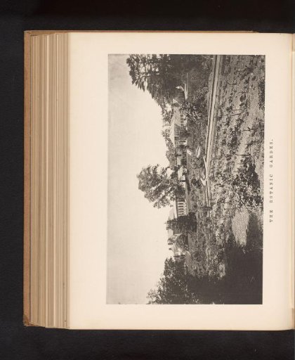 View of the Botanical Garden of Harvard University