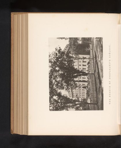 View of the Natural History Museum of Harvard University