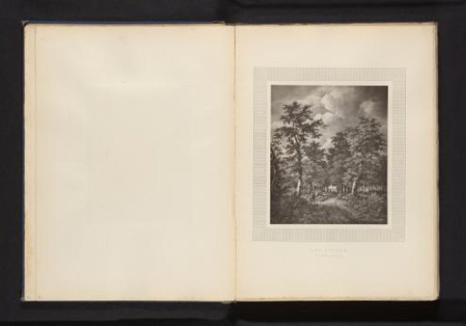Reproduction of a print of an avenue in the woods after Jacob Salomonsz. van Ruisdael