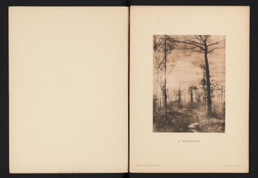 Landscape with trees