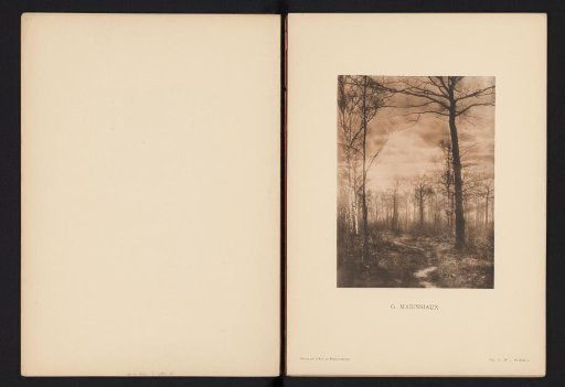 Landscape with trees