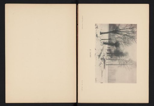 Winter landscape with trees