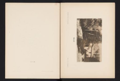 House in the forest
