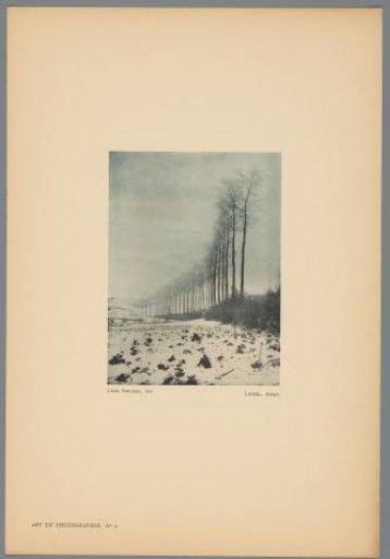 Winter landscape with a row of trees