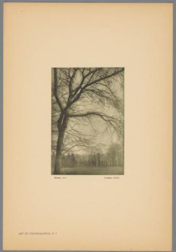 Landscape with trees