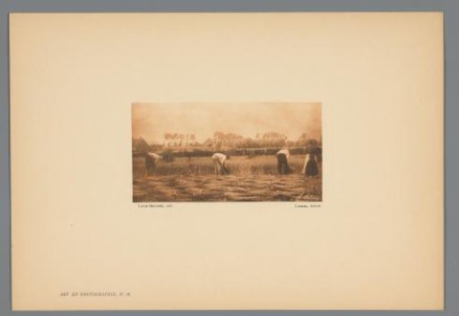 Three Peasants and a Peasantess Working in the Fields During the Harvest