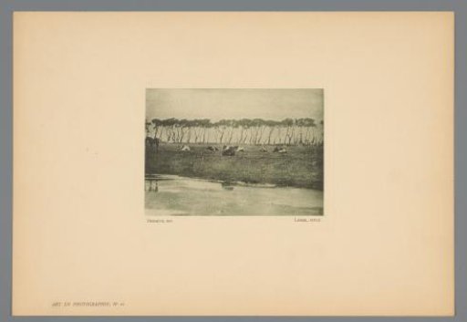 Cows and a Horse in a Meadow