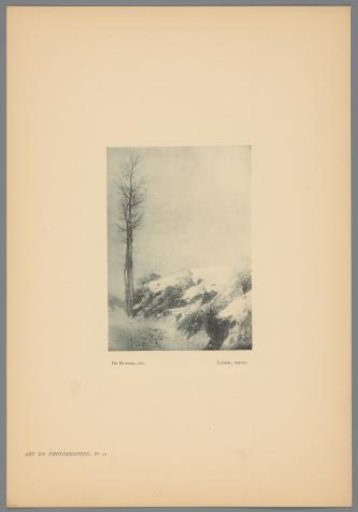 Winter Landscape