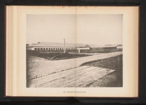 Fermentation Shed on a Tobacco Plantation in Deli, Sumatra