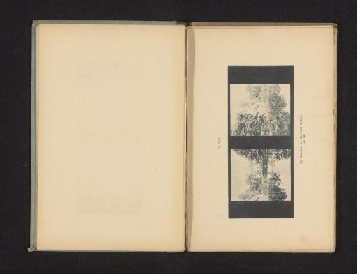 Stereograph of a view of the Priory of Manthes in Drôme