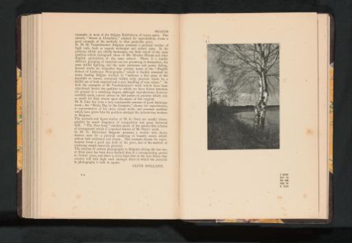 Landscape in the Kempen