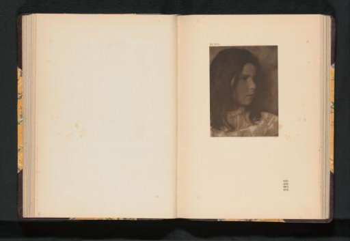 Portrait of an Unknown Young Woman