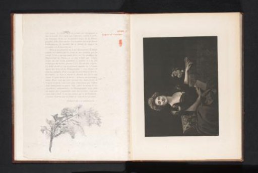 Portrait of an unknown woman