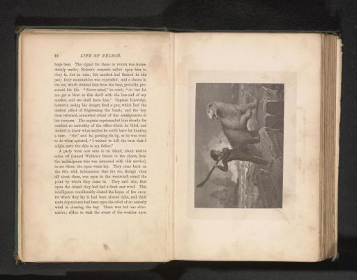 Photographic reproduction of a print of Horatio Nelson fighting a polar bear