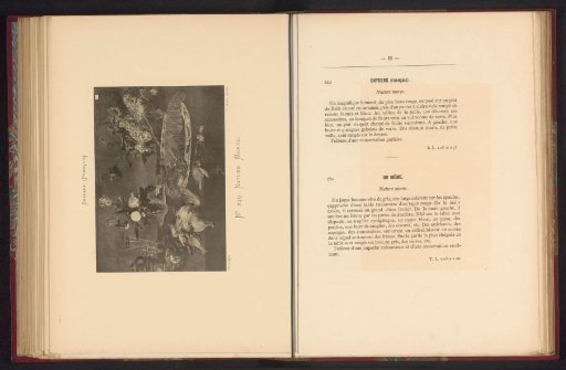 Reproduction of a Painted Still Life with Flowers, Grapes, Lobster, and Birds by Frans Snijders