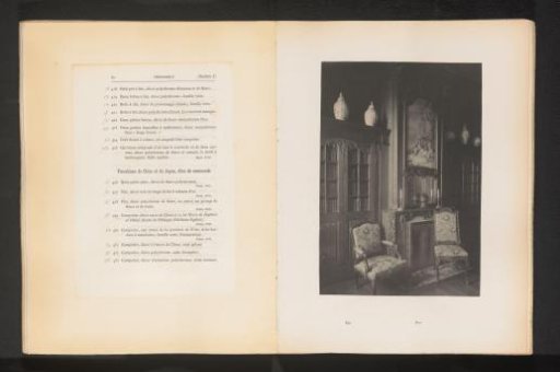 Room with fireplace and two bookcases in the house of Antonin Terme