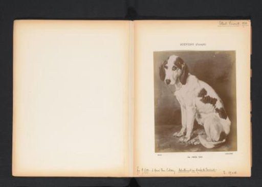 Photographic reproduction of a painting of a sitting dog by Joseph Stevens