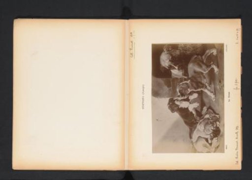 Photographic reproduction of a painting of a litter of puppies by Joseph Stevens