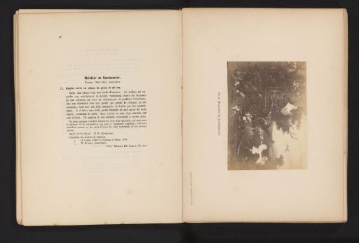 Photographic reproduction of a painting of various birds by Melchoir d'Hondecoeter