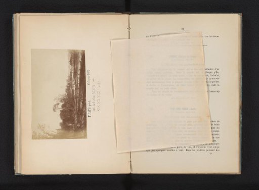 Photographic reproduction of a painting of a landscape near Haarlem