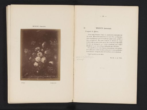 Photographic reproduction of a painting of a flower still life by Abraham Mignon