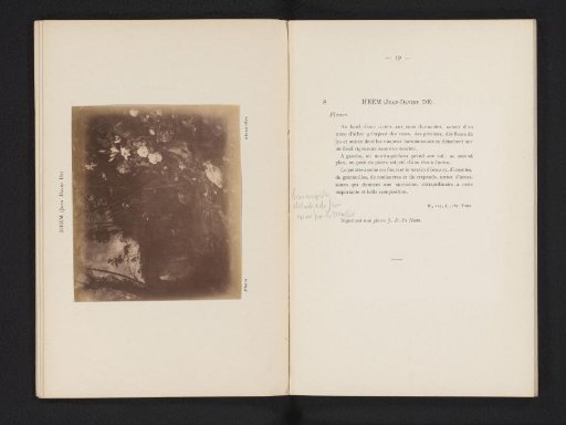 Photographic reproduction of a painting of flowers in a landscape by Jan Davidsz. de Heem