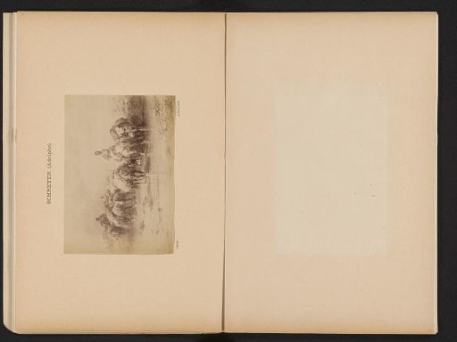 Photographic reproduction of L'abreuvoir by Christian Adolf Schreyer